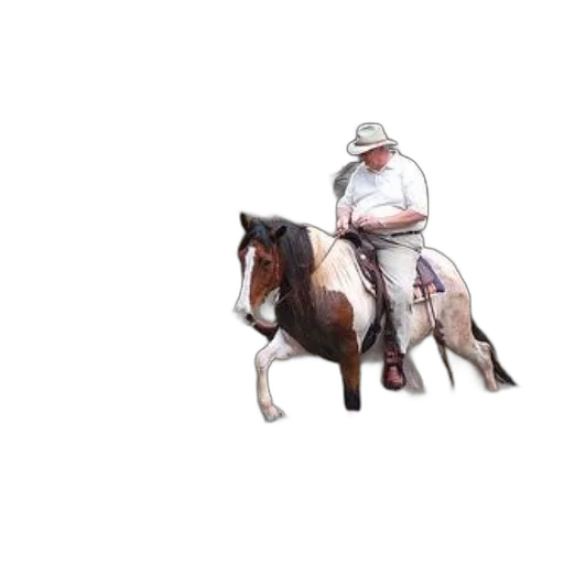 animal, hat, staff, creature transparent PNG cut-out