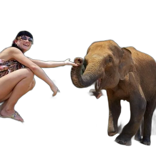 animal, creature, photorealistic, 3d render transparent PNG cut-out