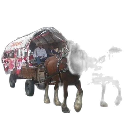animal, car, robot, weapon transparent PNG cut-out