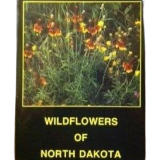 flower, book, cover, black transparent PNG cut-out