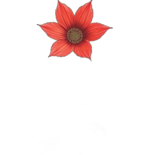 flower, crown, jewelry, dress transparent PNG cut-out
