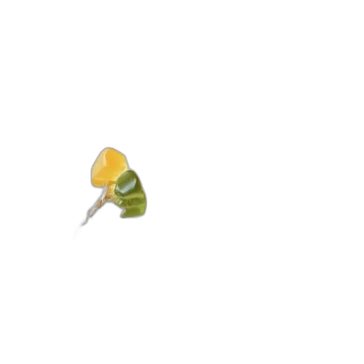 food, flower, weapon, staff transparent PNG cut-out