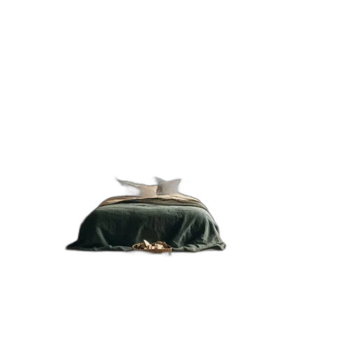 hat, crown, car, jacket transparent PNG cut-out