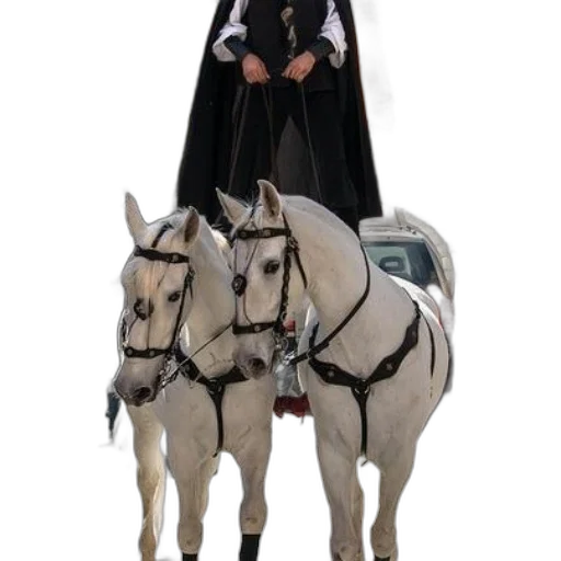 staff, concept art, person, stilts transparent PNG cut-out