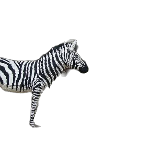 animal, creature, jewelry, shoes transparent PNG cut-out