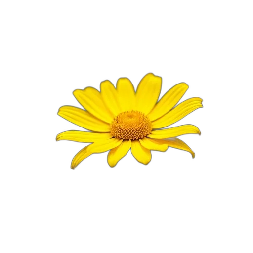 flower, jewelry, crown, staff transparent PNG cut-out