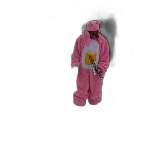 jacket, creature, robot, animal transparent PNG cut-out