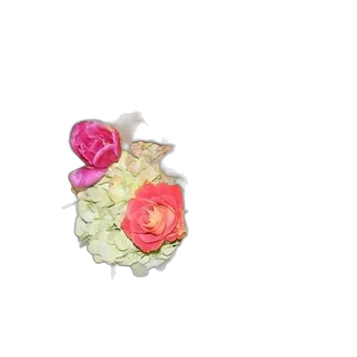 jewelry, flower, crown, food transparent PNG cut-out