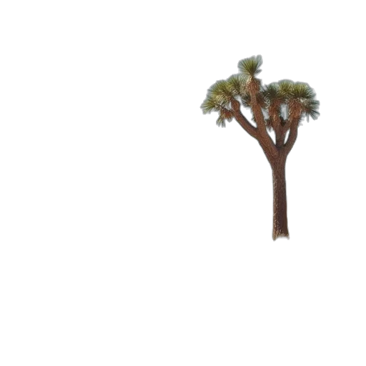 tree, crown, staff, hair transparent PNG cut-out