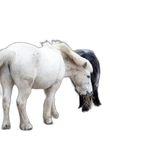 animal, creature, staff, 3d render transparent PNG cut-out
