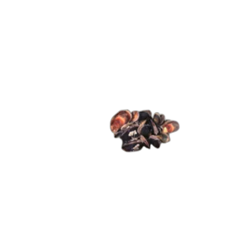 jewelry, crown, food, robot transparent PNG cut-out