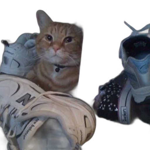 shoes, mask, animal, robot transparent PNG cut-out
