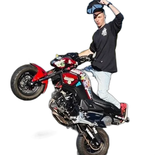 photorealistic, concept art, 3d render, cartoon transparent PNG cut-out