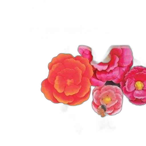 jewelry, flower, crown, photorealistic transparent PNG cut-out