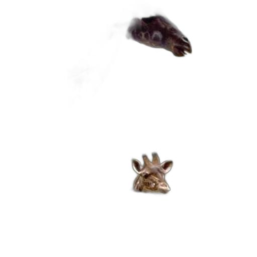 animal, creature, crown, jewelry transparent PNG cut-out