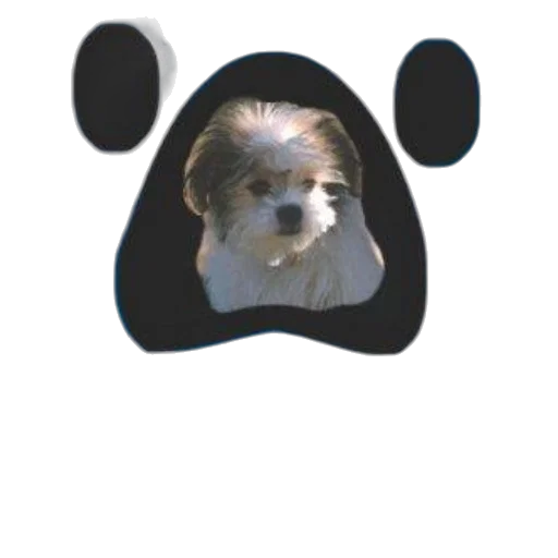animal, mask, face, staff transparent PNG cut-out
