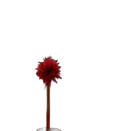 staff, flower, umbrella, bottle transparent PNG cut-out