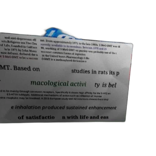 page, book, document, discussing transparent PNG cut-out