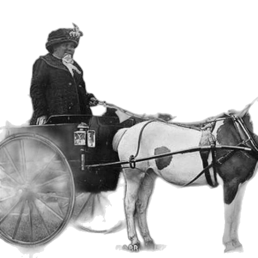 staff, car, animal, weapon transparent PNG cut-out