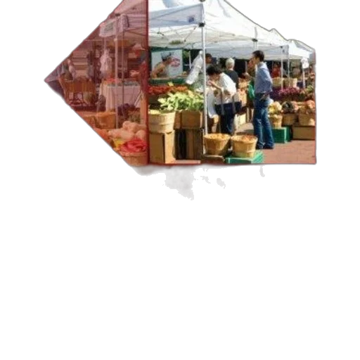 furniture, cover, macroeconomics, parkin transparent PNG cut-out