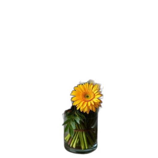 bottle, flower, crown, food transparent PNG cut-out