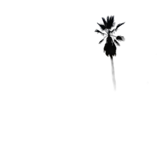 flower, tree, umbrella, staff transparent PNG cut-out