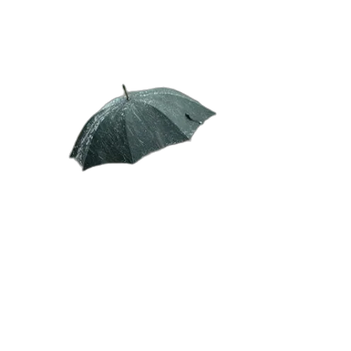 umbrella, hat, staff, jacket transparent PNG cut-out
