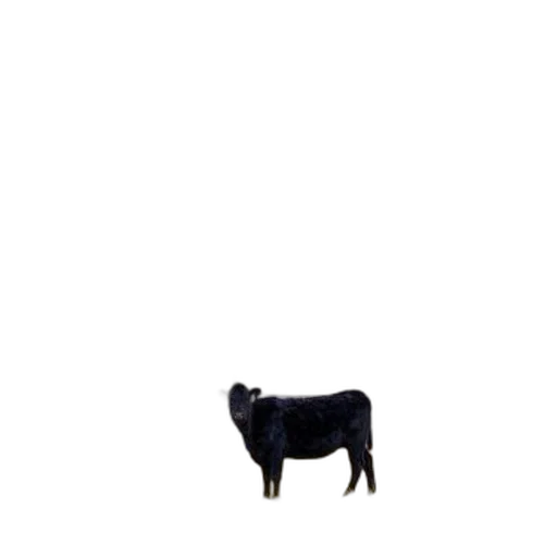 animal, food, creature, robot transparent PNG cut-out