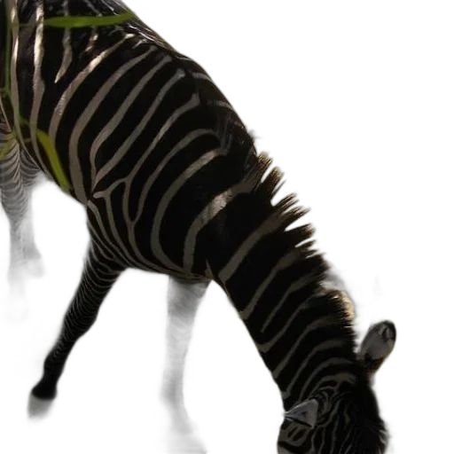animal, creature, dragon, staff transparent PNG cut-out