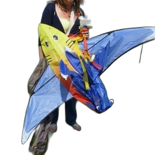 umbrella, jacket, weapon, staff transparent PNG cut-out