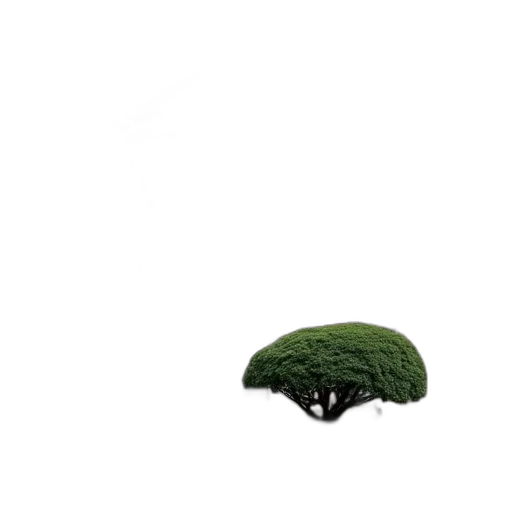 tree, hat, hair, creature transparent PNG cut-out