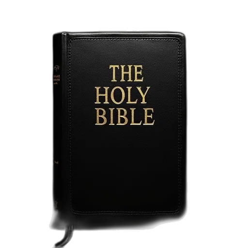 weapon, holy, bible, king transparent PNG cut-out
