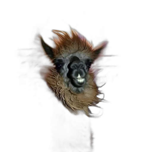 hair, animal, creature, mask transparent PNG cut-out