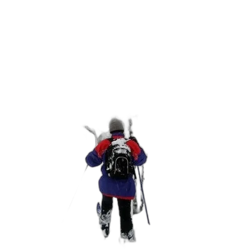 jacket, staff, robot, animal transparent PNG cut-out