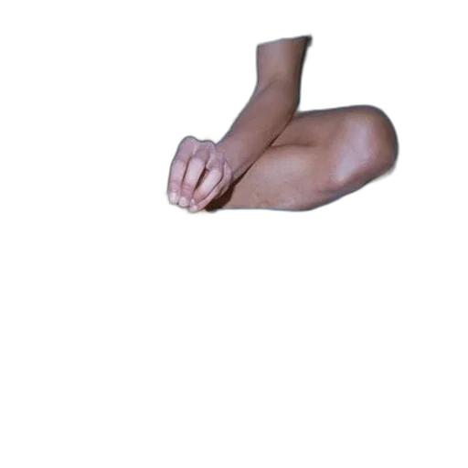shoes, creature, animal, staff transparent PNG cut-out