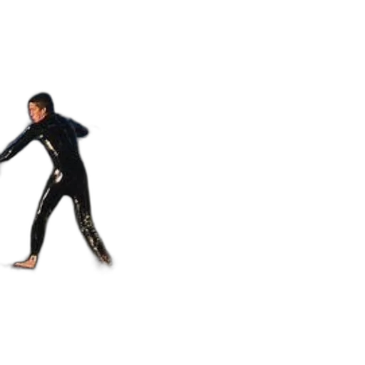 jacket, creature, animal, weapon transparent PNG cut-out