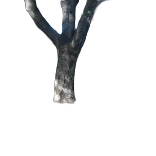 tree, staff, crown, creature transparent PNG cut-out