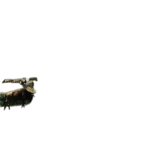 animal, dragon, creature, robot transparent PNG cut-out