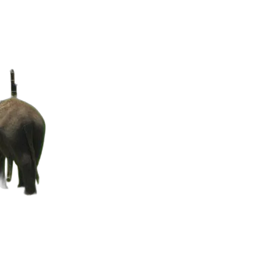 animal, creature, staff, weapon transparent PNG cut-out