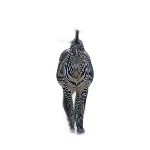 jewelry, mask, animal, crown transparent PNG cut-out