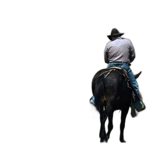 hat, animal, jacket, staff transparent PNG cut-out