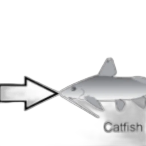 animal, creature, staff, weapon transparent PNG cut-out
