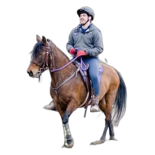 staff, animal, jacket, hat transparent PNG cut-out