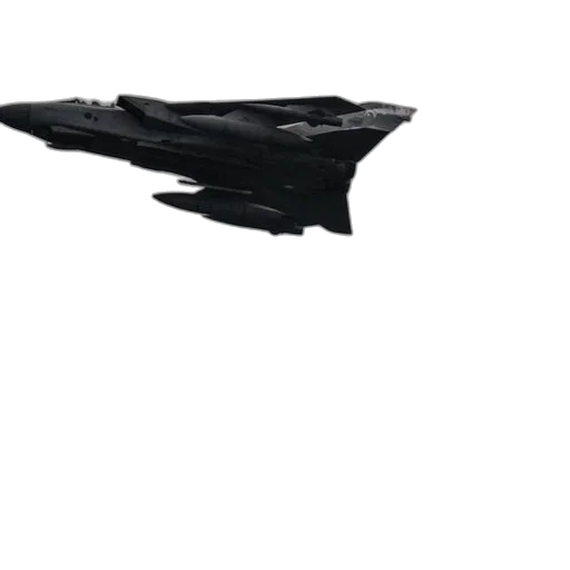 weapon, creature, animal, dragon transparent PNG cut-out