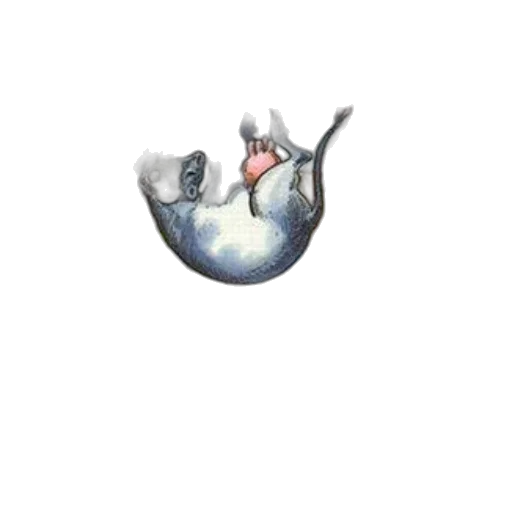 animal, creature, dragon, staff transparent PNG cut-out