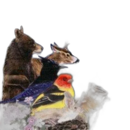 animal, staff, hat, jacket transparent PNG cut-out