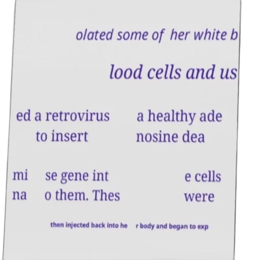 food, medical, illustration, showing transparent PNG cut-out