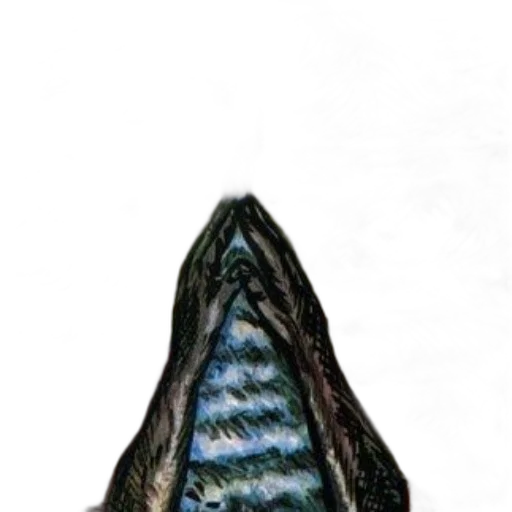 jacket, staff, hat, jewelry transparent PNG cut-out