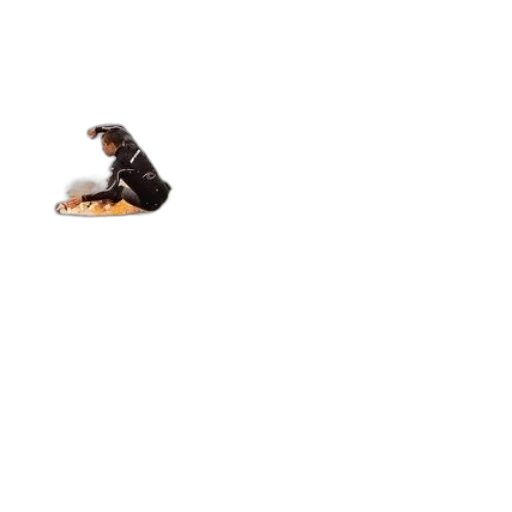 animal, creature, shoes, staff transparent PNG cut-out