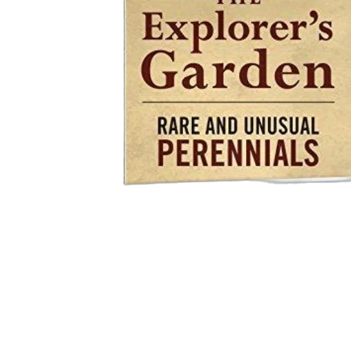 explorer, garden, rare, unusual transparent PNG cut-out